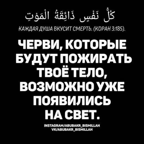 Бомбита в хиджабе? 03