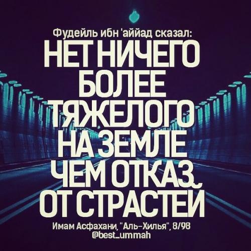 Бомбита в хиджабе? 06