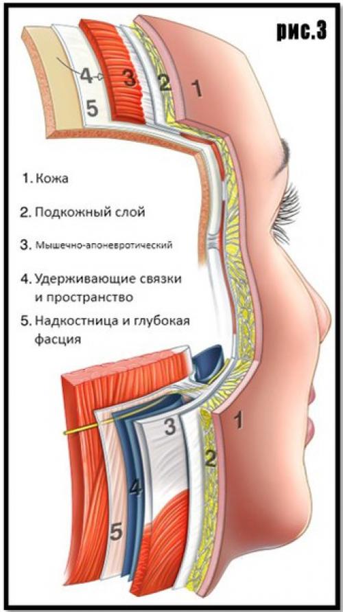 Как похудеть в лице? 02 Как похудеть в лице? 02