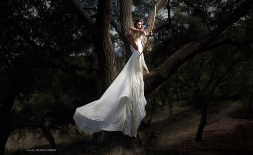 В пакете VIP включено: 03 В пакете VIP включено: 03