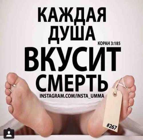 Бомбита в хиджабе? 01