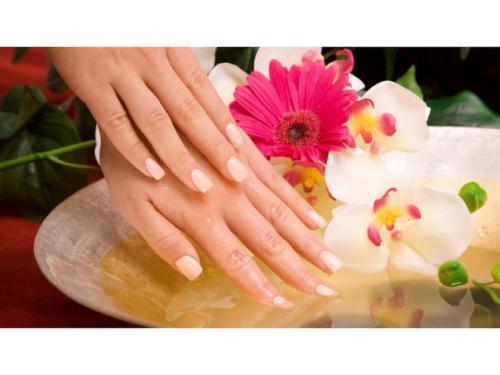 Topstyle.  Академия VG. 02