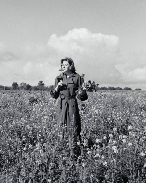 Голоса эстетики: Ингрид Бергман. 01 Голоса эстетики: Ингрид Бергман. 01