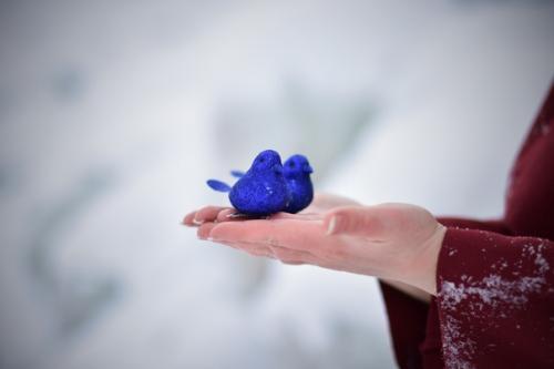 Кто мой предок, моя национальность, какой образ мне подобрали и моё тотемное животное. 03