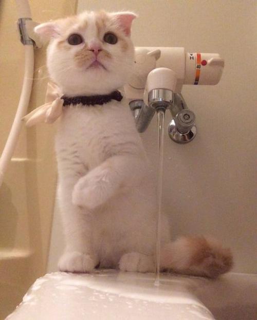 5 признаков осенней депрессии. 01 5 признаков осенней депрессии. 01