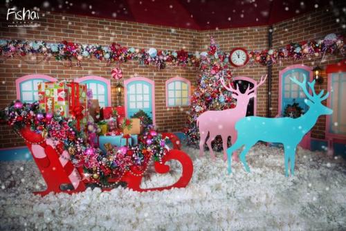 В студиях осталось только будничное время, кто ещё хочет попасть на новогодние фотосессии, успевайте бронировать удобное для вас время! 07