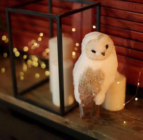 Дорогие мои фотостудия Локация 37 Rental пространство в г. Армавире мы приглашаем вас на новогодние фотосессии. 03 Дорогие мои фотостудия Локация 37 Rental пространство в г. Армавире мы приглашаем вас на новогодние фотосессии. 03