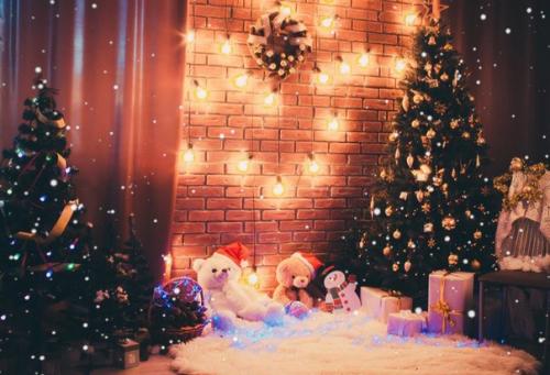 Котяточки мои?  Только 24 декабря? 02