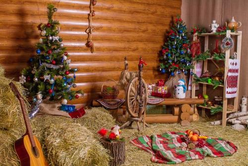 Внимание!  Пока есть парочка свободных местечек на новогодние фотосессии! 02