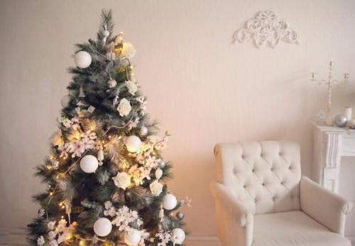 Хотите новогоднюю фотосессию ВСЁ Включено? 04