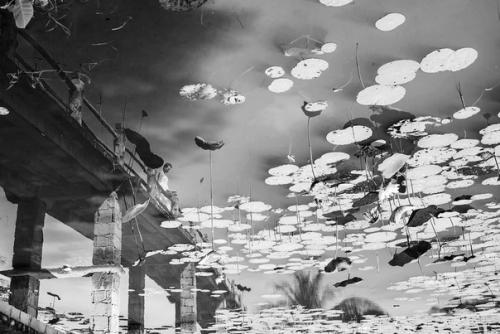 Тропическая свадебная фотосессия. 07