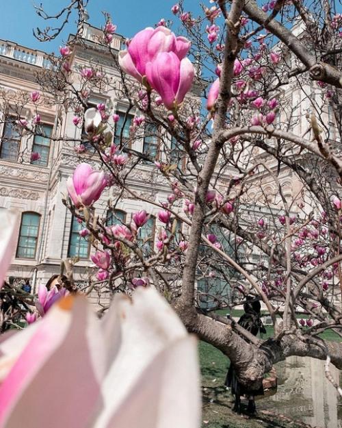 Создание красивых кадров в отпуске - это отдельная любовь. 03