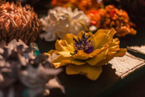 Петербургская Ярмарка - самая большая регулярная ярмарка города на Неве. 08