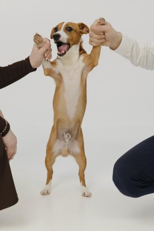 Про Беременную фотосъемку. 01