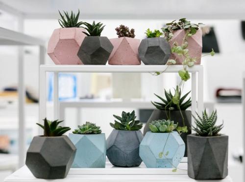 Петербургская Ярмарка - самая большая регулярная ярмарка города на Неве. 04