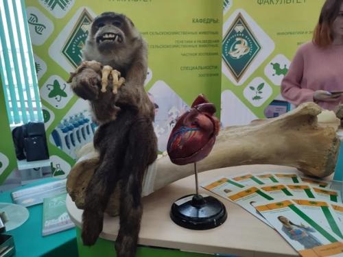 Ярмарка целевой подготовки в чернях проходит. 03 Ярмарка целевой подготовки в чернях проходит. 03