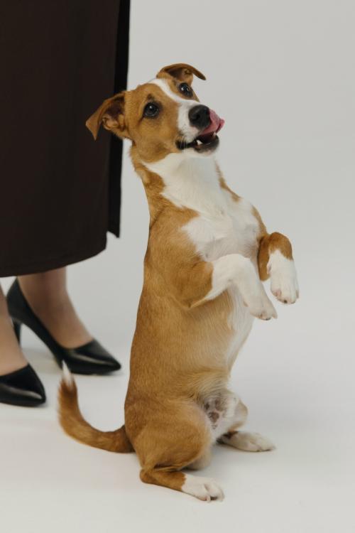 Про Беременную фотосъемку. 03