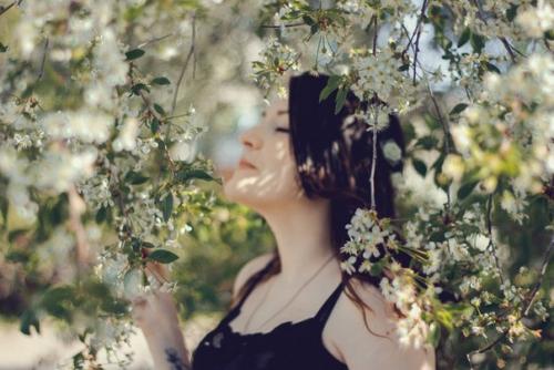 Наступает пора выпускных, свадеб, а также других очень значимых событий? 01