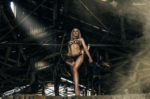 Девчонки!  Новый фотопроект Доберманы объявляю. 02