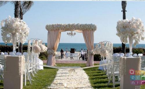 Выездная регистрация вашего общего союза. 01 Выездная регистрация вашего общего союза. 01