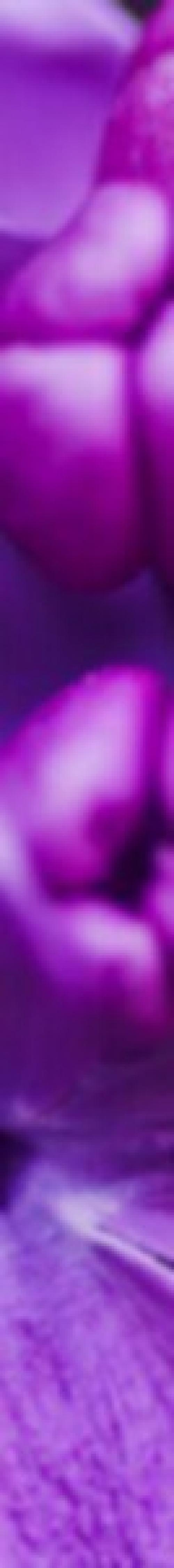 ? 5. Бьюти - приложений для твоего смартфона? 02 ? 5. Бьюти - приложений для твоего смартфона? 02