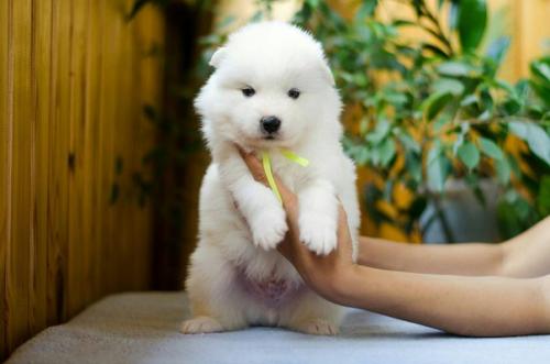 Мы открываем набор на семейную фотосессию? 01