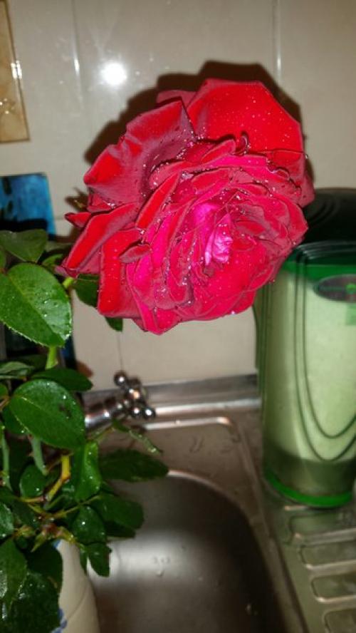 Как всё-таки это здорово - вставать в 5 часов утра! 01