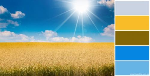 Что одеть на фотосессию в полях? 01