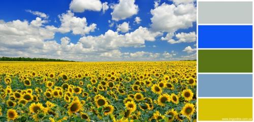 Что одеть на фотосессию в полях? 02