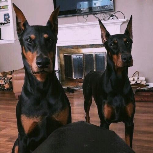 Как разнообразить школьную форму. 01 Как разнообразить школьную форму. 01