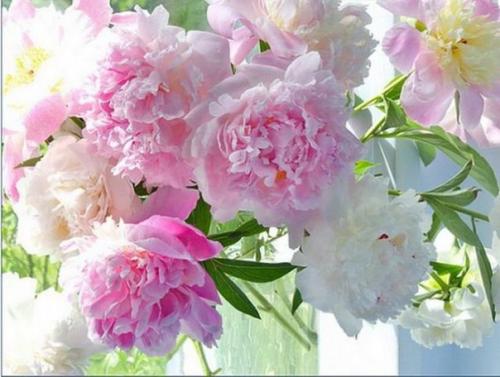 Итоги нашего тренировочного соревнования на тему Новые Ткани подведем. 01