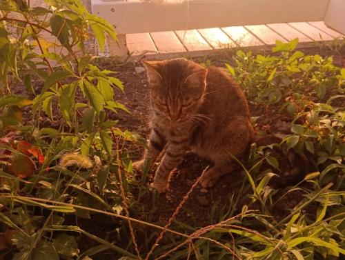 Красота не всегда осязаема, как море. 02