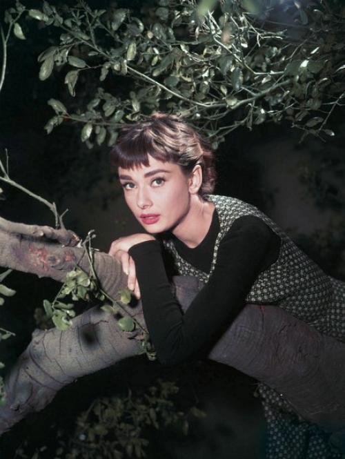 Прическа, как Одри Хепберн. Стиль Одри Хепберн.