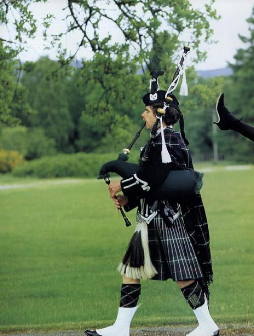 A Shot of Scotch. 04