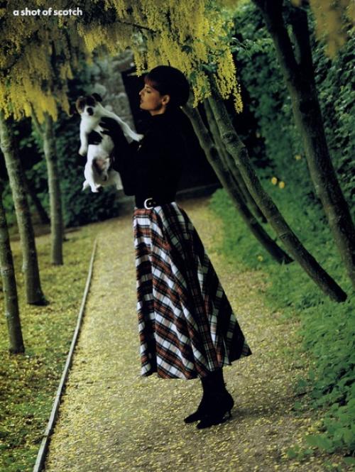 A Shot of Scotch. 02