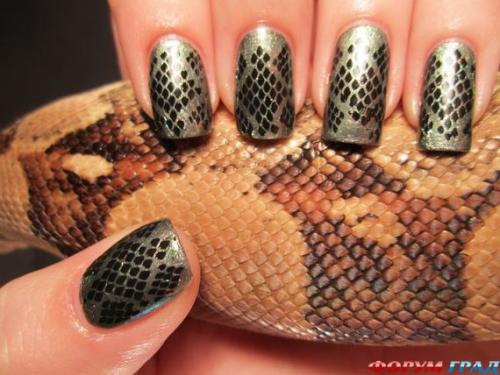 Интересный дизайн для ногтей: змея. 02 Интересный дизайн для ногтей: змея. 02