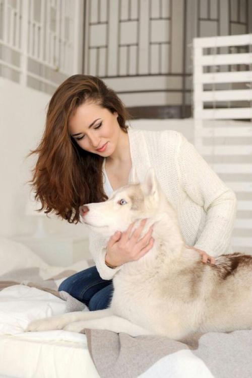 Мы ищем желающих сходить на фотопроект Хаски День? 03