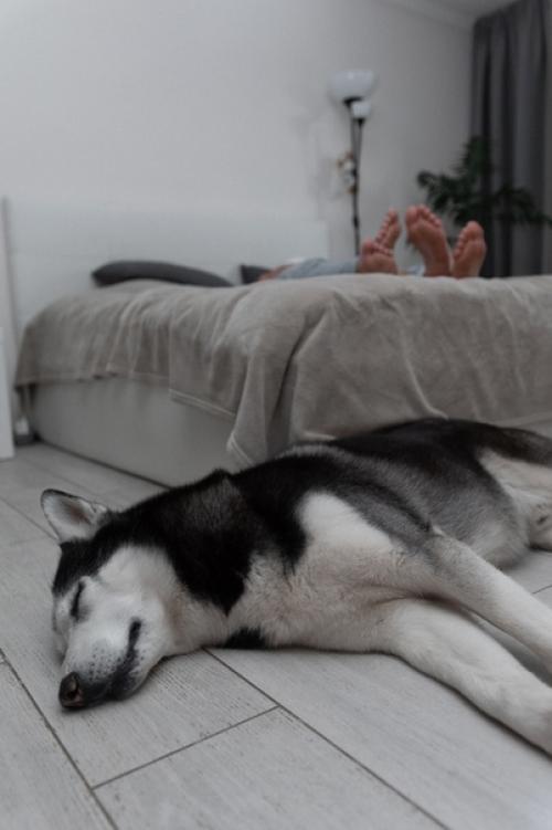 Лишь в том случае, если вам приелись однотипные студийные кадры и хочется домашнего тепла, то домашняя съемка - для вас. 05 Лишь в том случае, если вам приелись однотипные студийные кадры и хочется домашнего тепла, то домашняя съемка - для вас. 05