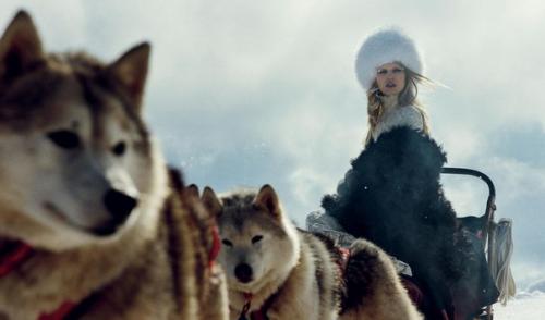 Ола рудницка в фотосессии Нормана джина роя для Harper's Bazaar US November 2015. 01