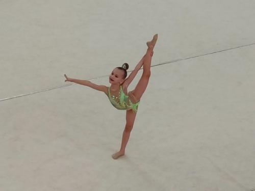 В соревнованиях участвуют несколько десятков юных гимнасток, которые удивляют зрителей мастерством, упорством и стойкостью. 06