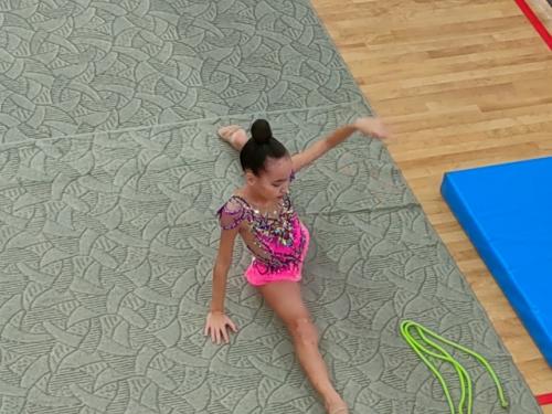 В соревнованиях участвуют несколько десятков юных гимнасток, которые удивляют зрителей мастерством, упорством и стойкостью. 03