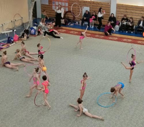 В соревнованиях участвуют несколько десятков юных гимнасток, которые удивляют зрителей мастерством, упорством и стойкостью. 02