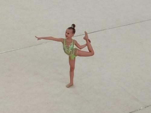 В соревнованиях участвуют несколько десятков юных гимнасток, которые удивляют зрителей мастерством, упорством и стойкостью. 07