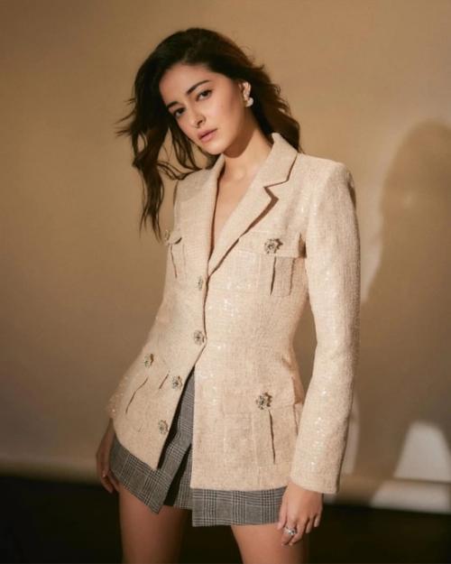 Образ Ананьи для круглого стола Bollywood Hungama 2024. 02