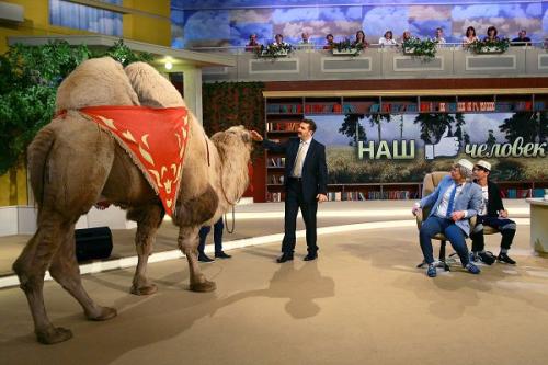 Москва! 21, 22 декабря - требуется зритель на съемку тв шоу! 05 Москва! 21, 22 декабря - требуется зритель на съемку тв шоу! 05