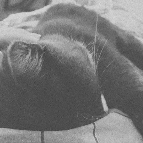 День 2.? Завтра намечается довольно продуктивный день. 01 День 2.? Завтра намечается довольно продуктивный день. 01