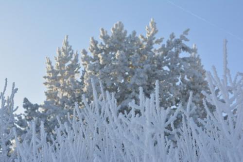 Немного волшебства вам в ленту? 02