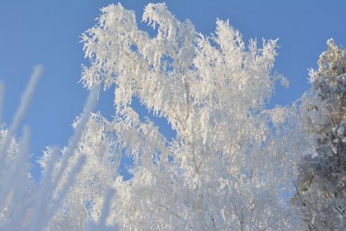 Немного волшебства вам в ленту? 01