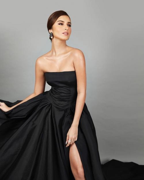 Образ тары для церемонии награждения Zee Cine Awards 2020. 01