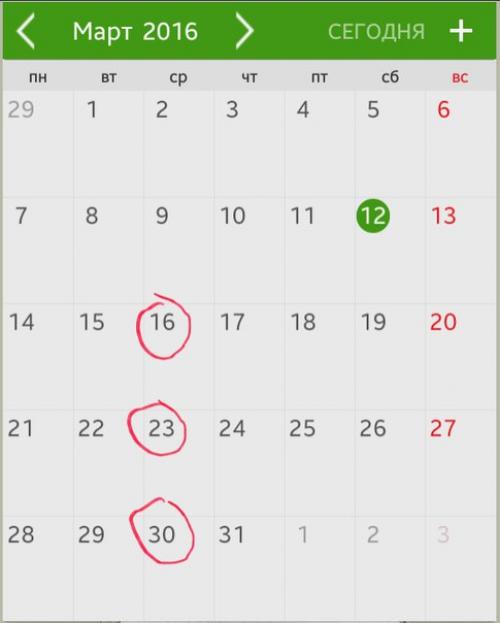 Дизайн прически.  Горохова а. в. 01